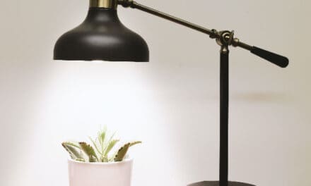 How to choose a table lamp