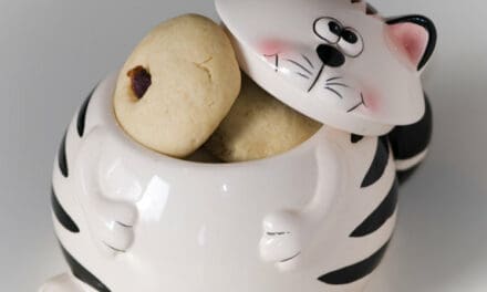 How to Choose a Cookie Jar