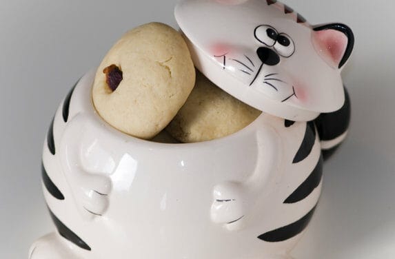 How to Choose a Cookie Jar