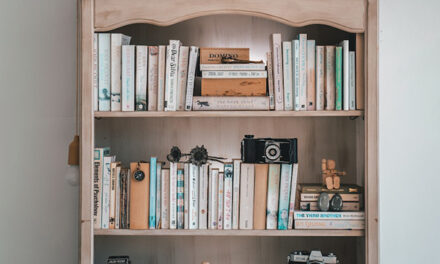 The Benefits of Adding a Bookcase to Your Home