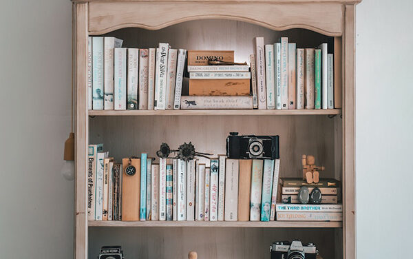 The Benefits of Adding a Bookcase to Your Home
